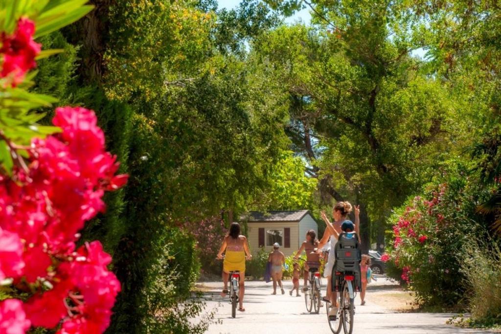 Mobil Home Tout Confort 6 Personnes Climatise Au Pied Du Luberon ลาโรคด็องเตรง ภายนอก รูปภาพ